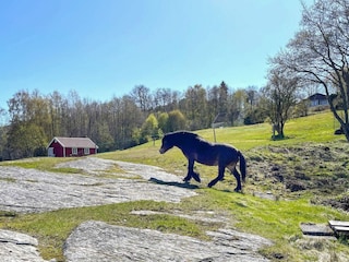 Ferienhaus Varekil  14
