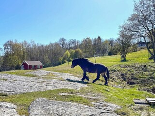 Ferienhaus Varekil  24