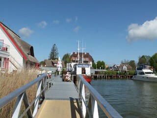 Appartement Zingst Environnement 23
