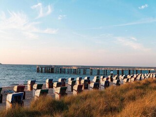 Appartement Zingst Environnement 36