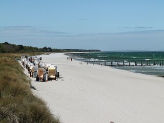 Appartement Zingst Omgeving 32