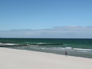 Appartamento Zingst Ambiente 35