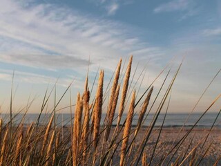 Apartamento Zingst Entorno 36