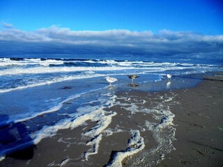 Appartement Zingst Environnement 40