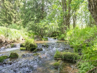 Casa de vacaciones Schwarzenberg am Böhmerwald Entorno 24