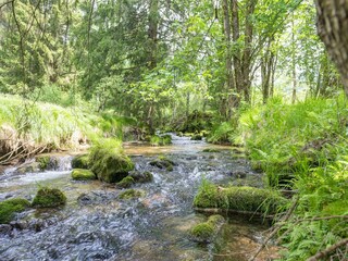 Casa per le vacanze Schwarzenberg am Böhmerwald Ambiente 24