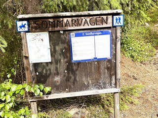 Vakantiehuis Enviken  7