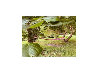 Villa Welt Enregistrement extérieur 8