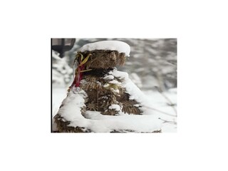 Villa Welt Environnement 26