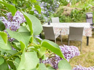 Vakantiehuis Växjö Buitenaudio-opname 12