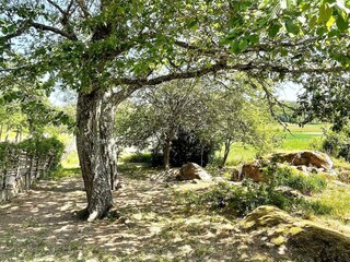 Holiday house Welt  31