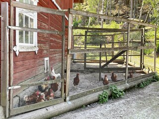 Ferienhaus Welt  28