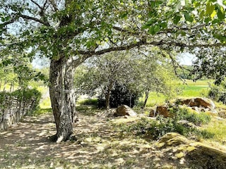 Vakantiehuis Welt  32
