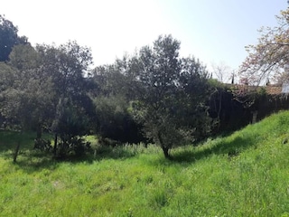 Holiday park Begur Environment 31