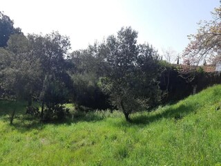 Parc de vacances Begur Environnement 25