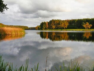 Vakantiehuis Sarbinowo Omgeving 21