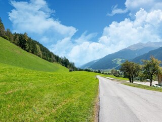 Maison de vacances Mühlbach im Pinzgau Environnement 35