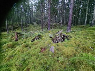 Holiday house Roasjö  30