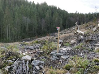 Ferienhaus Roasjö  28