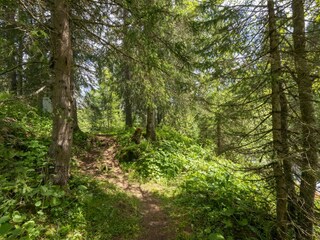 Vakantiehuisje Silvretta Nova Omgeving 36