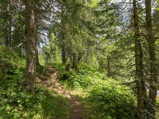 Vakantiehuisje Silvretta Nova Omgeving 38