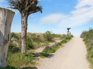 Maison de vacances Goedereede Environnement 35