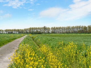 Maison de vacances Goedereede Environnement 31