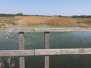 Casa per le vacanze Goedereede Ambiente 29