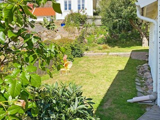 Holiday house Hunnebostrand Outdoor Recording 4