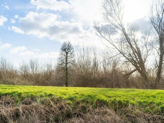 Vakantiehuis Biddinghuizen Omgeving 33