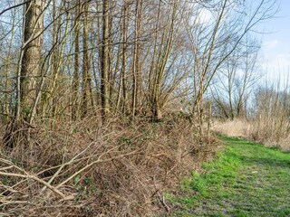 Vakantiehuis Biddinghuizen Omgeving 30