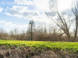 Vakantiehuis Biddinghuizen Omgeving 35