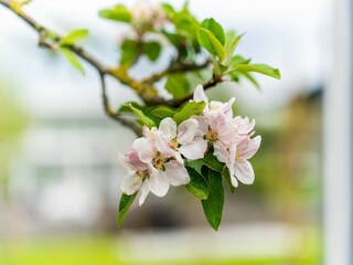 Maison de vacances Biddinghuizen  38