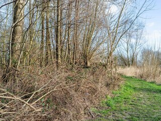 Vakantiehuis Biddinghuizen Omgeving 37