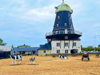 Ferienhaus Löttorp Außenaufnahme 7