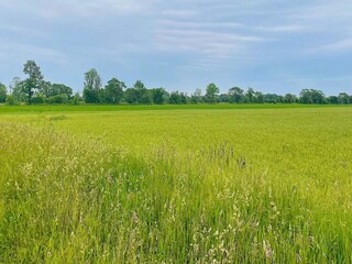 Vakantiehuis Löttorp Buitenaudio-opname 5