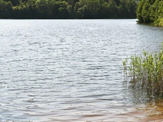 Ferienhaus Skällinge  18