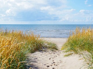 Vakantiehuis Falkenberg (Schweden)  7