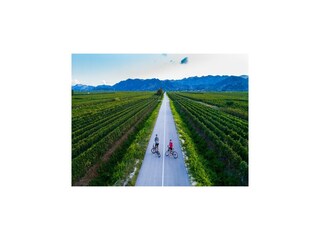 Appartamento Rogotin  35