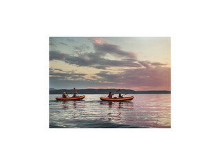 Apartment Rogotin  42