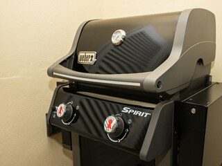 Apartment Rogotin Außenaufnahme 6