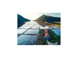 Appartement Rogotin  41