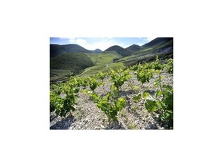 Apartamento Rogotin  40