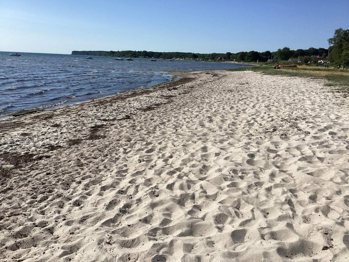 Ferienhaus Binderup Strand Außenaufnahme 2