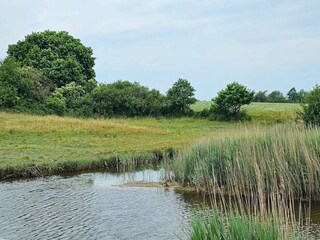 Vakantiehuis Binderup Strand  29