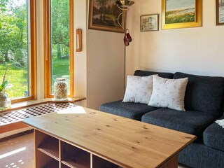 Ferienhaus Odensjö  29