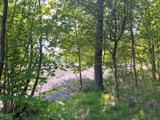 Vakantiehuis Odensjö  25