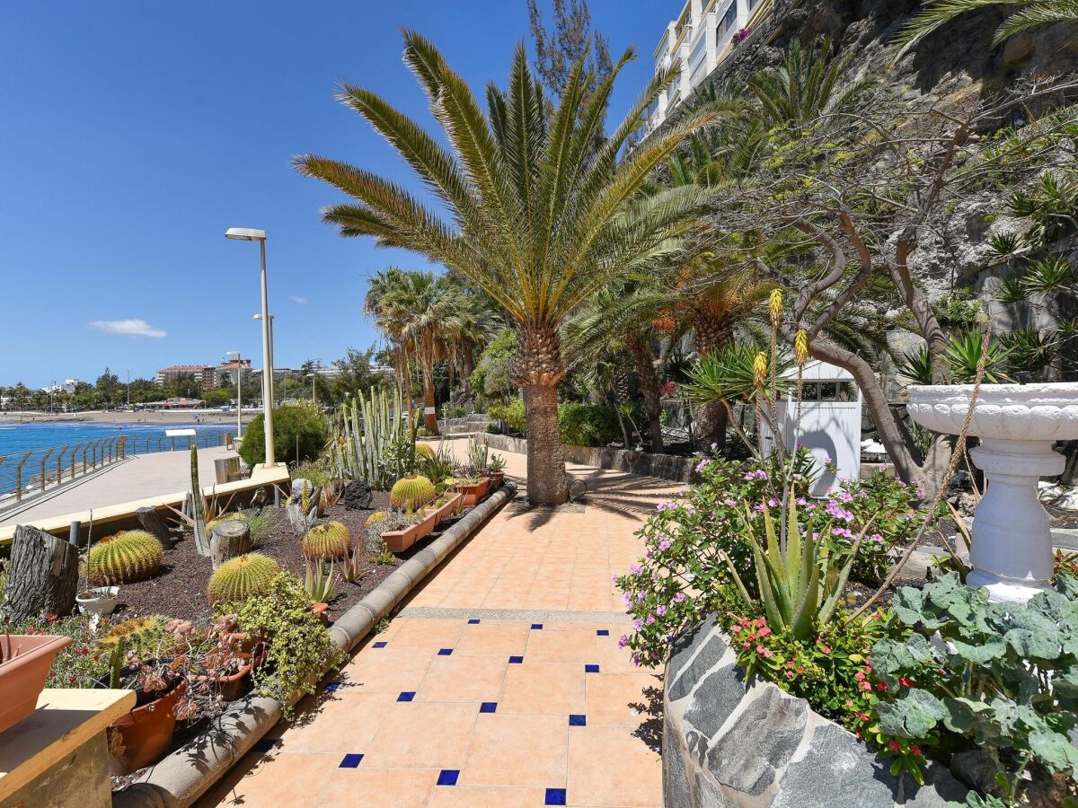 Apartment San Agustin (Gran Canaria) Umgebung 4