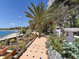 Apartment San Agustin (Gran Canaria) Umgebung 16