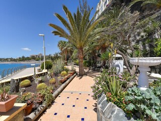 Apartment San Agustin (Gran Canaria) Umgebung 17